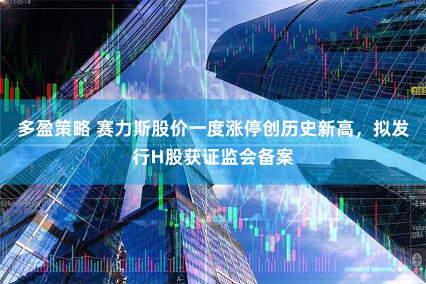 多盈策略 赛力斯股价一度涨停创历史新高，拟发行H股获证监会备案