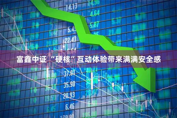 富鑫中证 “硬核”互动体验带来满满安全感