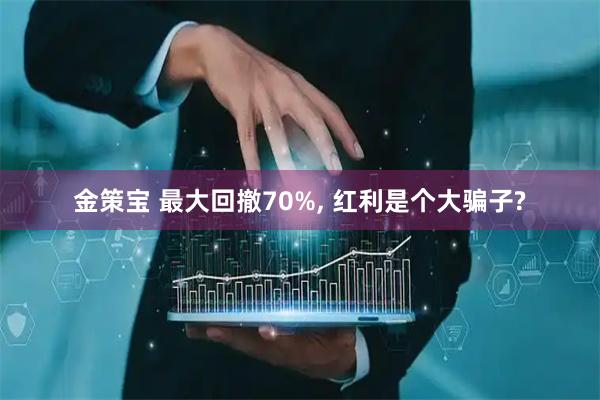 金策宝 最大回撤70%, 红利是个大骗子?