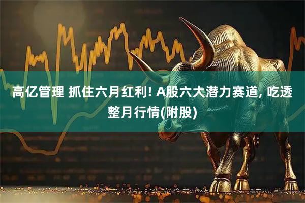 高亿管理 抓住六月红利! A股六大潜力赛道, 吃透整月行情(附股)