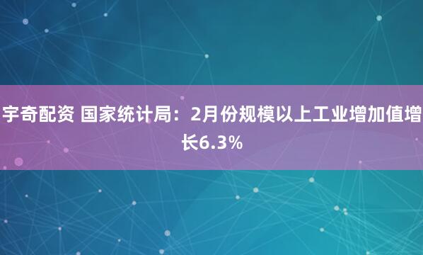宇奇配资 国家统计局：2月份规模以上工业增加值增长6.3%