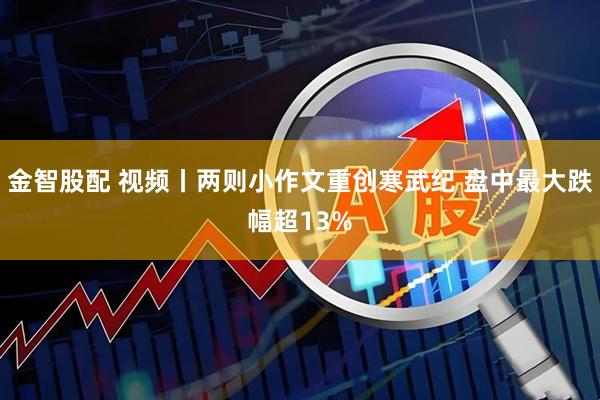 金智股配 视频丨两则小作文重创寒武纪 盘中最大跌幅超13%