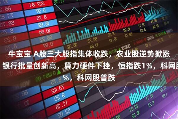 牛宝宝 A股三大股指集体收跌，农业股逆势掀涨停潮，银行批量创新高，算力硬件下挫，恒指跌1%，科网股普跌